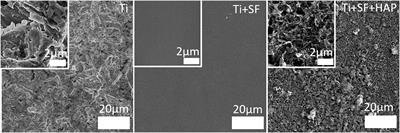 Enhancing Osseointegration of TC4 Alloy by Surficial Activation Through Biomineralization Method